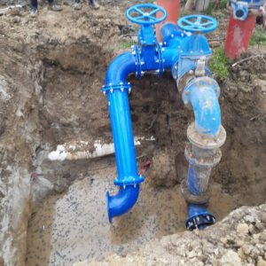 Celarevo_Pivot_sistem (3)