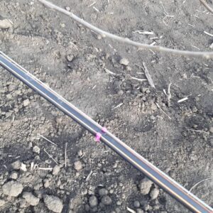 Novo_Milosevo_Kap_Po_Kap (11)