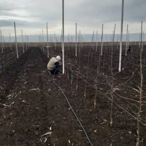 Novo_Milosevo_Kap_Po_Kap (6)