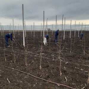 Novo_Milosevo_Kap_Po_Kap (7)