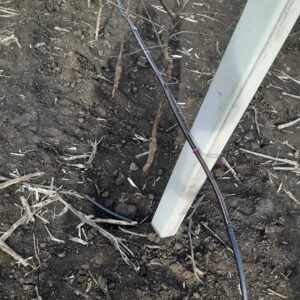 Novo_Milosevo_Kap_Po_Kap (8)