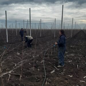 Novo_Milosevo_Kap_Po_Kap (9)