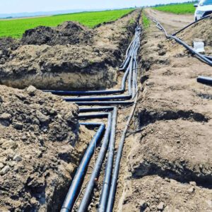 PejiceviSalasi_Kap_Po_Kap (2)