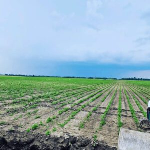 PejiceviSalasi_Kap_Po_Kap (4)